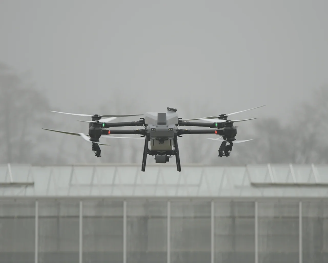 Eine Landwirtschaftsdrohne DJI Agras T50 im Sprühflug. Im Hintergrund ist ein Gewächshaus zu sehen.