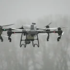 Eine DJI Agras T50 Landwirtschaftsdrohne befindet sich im Flug und sprüht Pflanzenschutzmittel auf ein Feld.