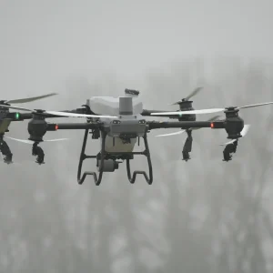 Eine DJI Agras T50 Landwirtschaftsdrohne befindet sich im Flug und sprüht Pflanzenschutzmittel auf ein Feld.