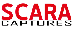 LOGO 1(1)
